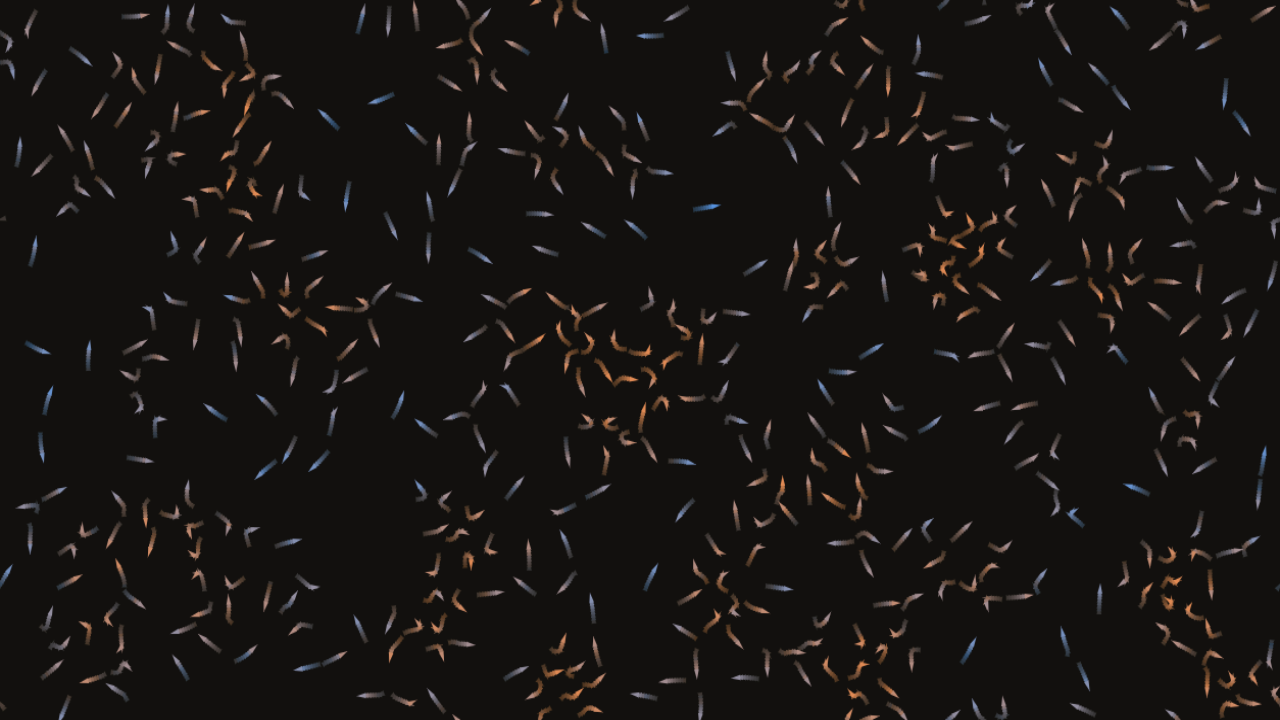 Boids — a flock of small birds in flight